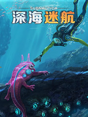 最便宜情侣外套批发